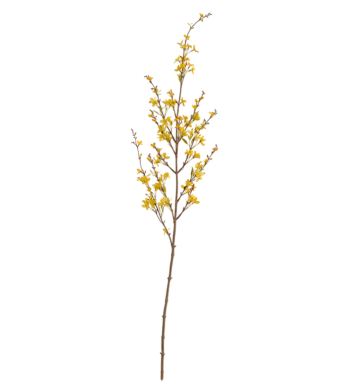 Форзиция  ветвь цветущая | 135 см