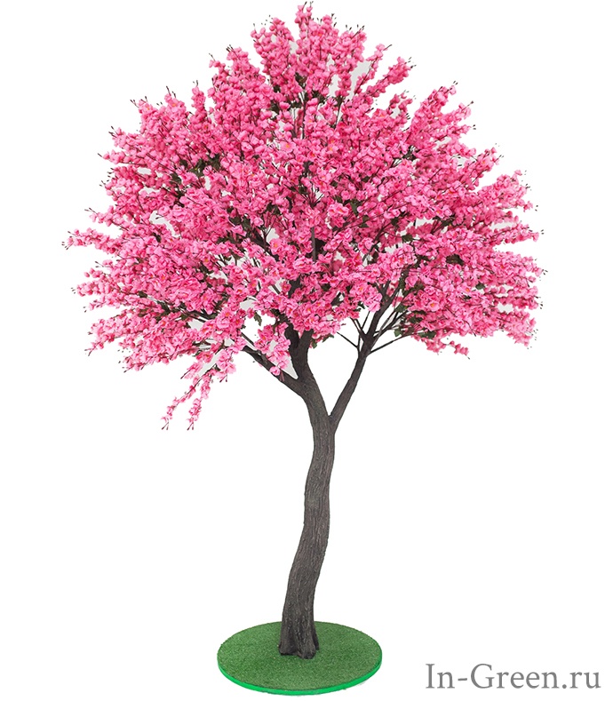 Сакура Императорская розовая | 300 см