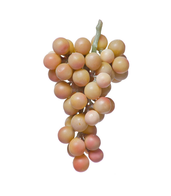 Виноград  крупный розовый | 22 см