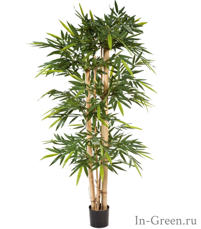 Бамбук искусственный Гигантский, от 150 до 300 см