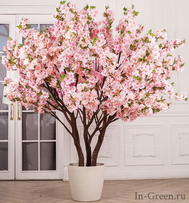 Миндаль куст цветущий розовый | 210 см