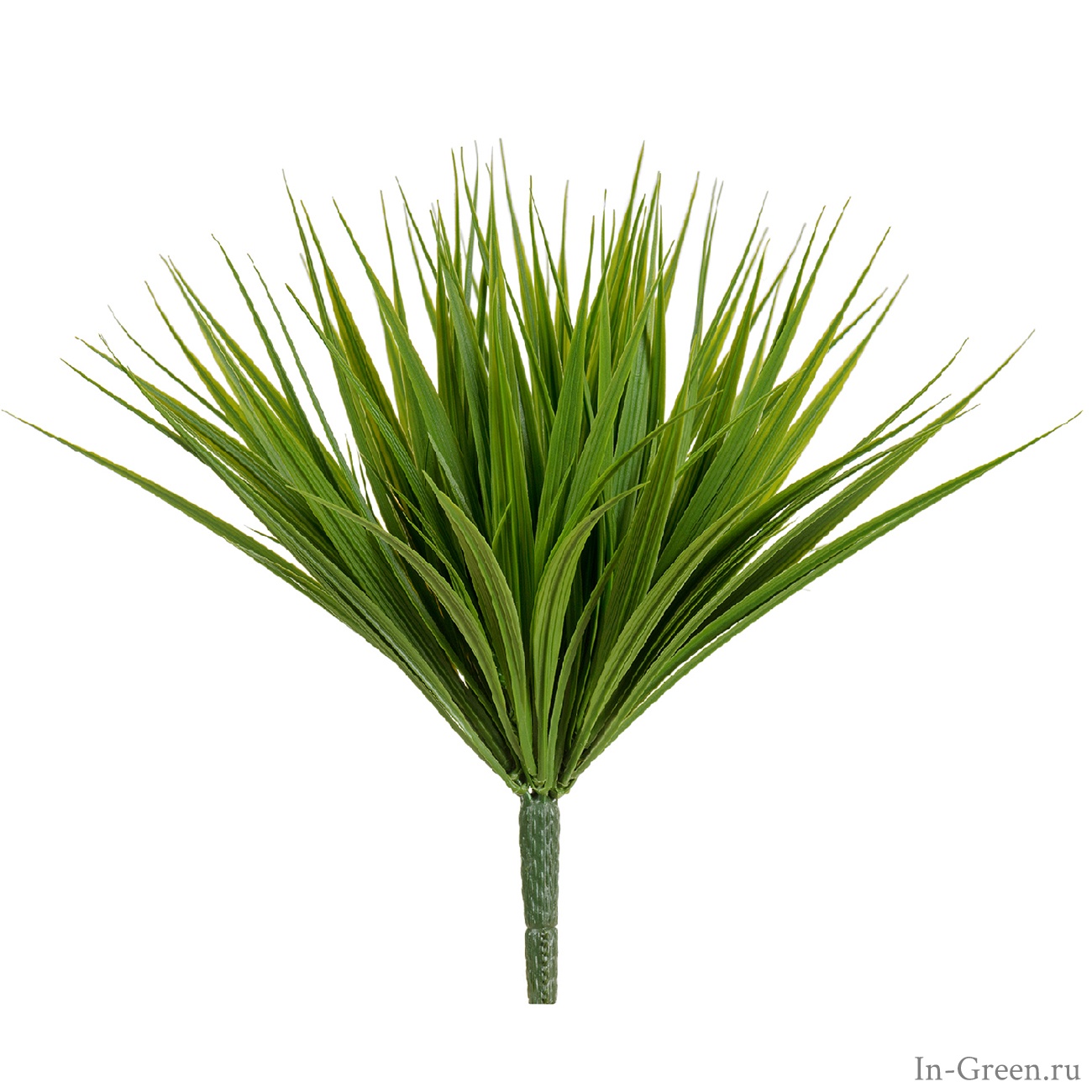 Трава Литл Сворд куст зелёный | 20 см