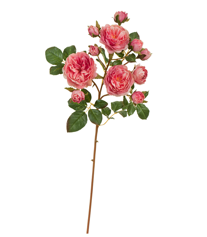 Роза  Дэвид Остин ветвь малиново-розовая | 51 см