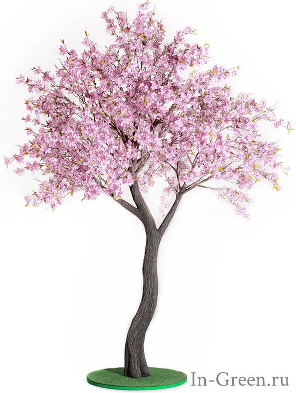 Жасмин дерево сиреневое | 290 см