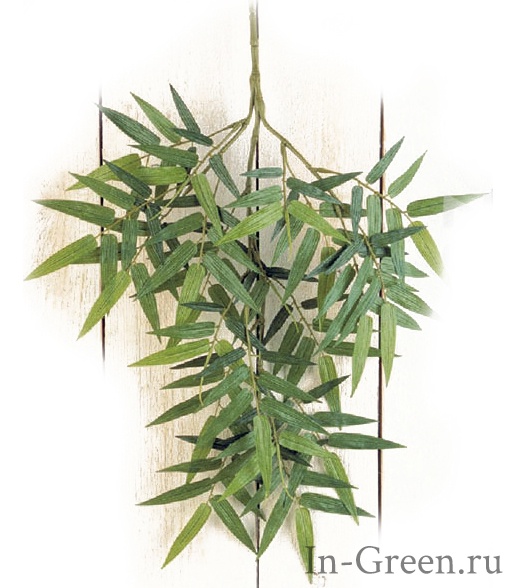 Бамбука Ориенталь ветвь  | 55 см