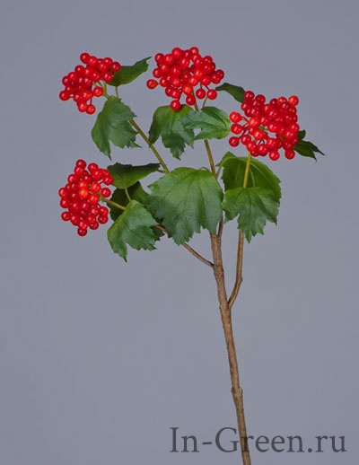 Калина Бульдонеж ветвь алая с ягодами | 66 см