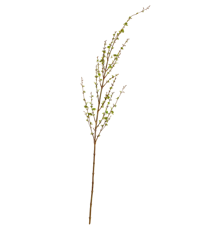Кизил (Корнелиан черри) ветвь цветущая зелёная | 158 см