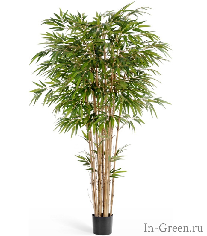 Бамбук искусственный Натуральный, от 150 до 210 см