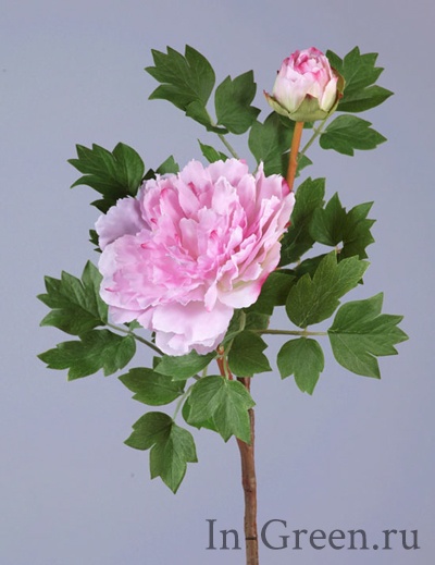 Пион ветвь малая розовая | 35 см