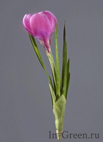 Крокус  розовый | 20 см