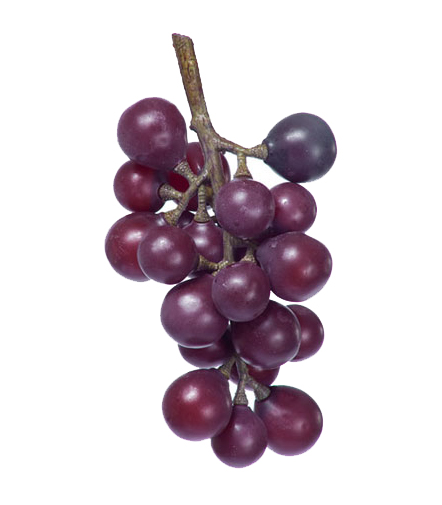 Виноград  чёрный | 15 см