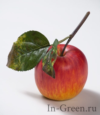Яблоко красно-жёлтое на веточке | 7 см