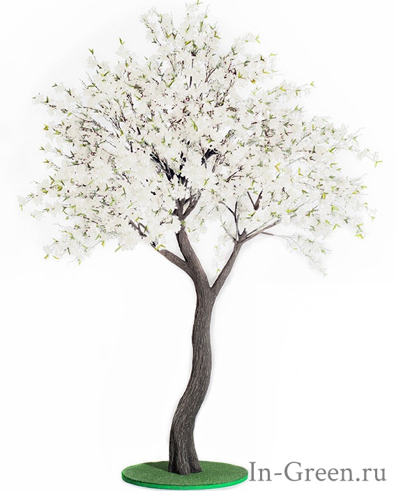 Жасмин дерево белое | 290 см