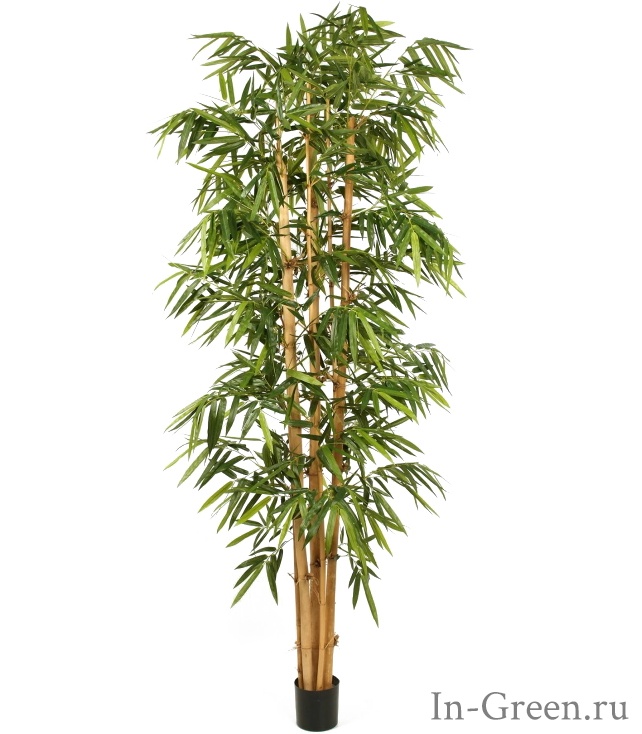 Бамбук искусственный Гигантский Биг Лиф, от 240 до 300 см