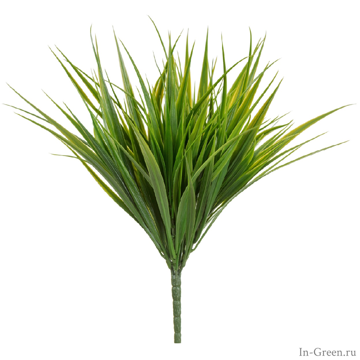 Трава Сворд куст зелёный | 23 см