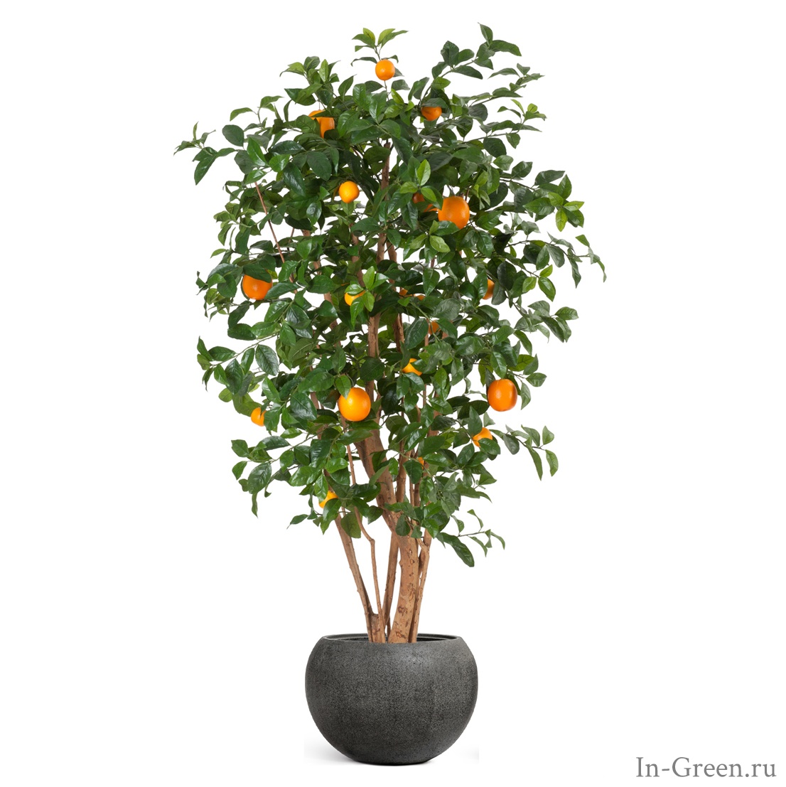 Апельсиновое дерево искусственное с плодами в кашпо тёмно-серый камень | 180 см