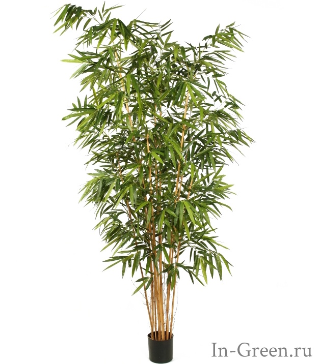 Бамбук искусственный Биг Лиф, от 240 до 300 см