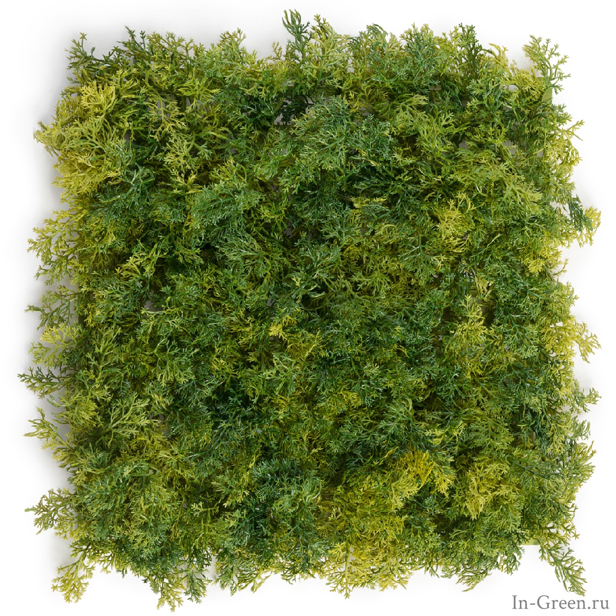 Мох Ягель зелёный микс (коврик) | 25х25 см