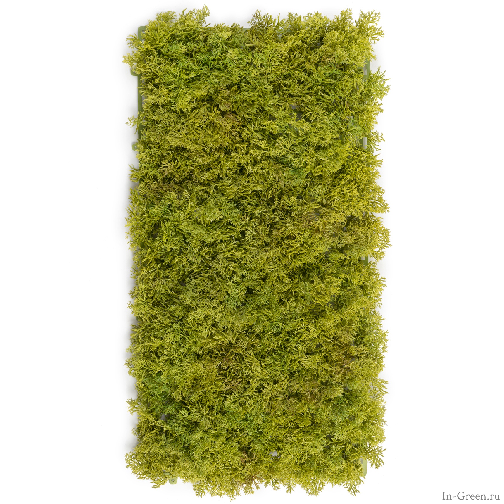 Мох Ягель светло-зелёный микс (коврик) | 25х50 см