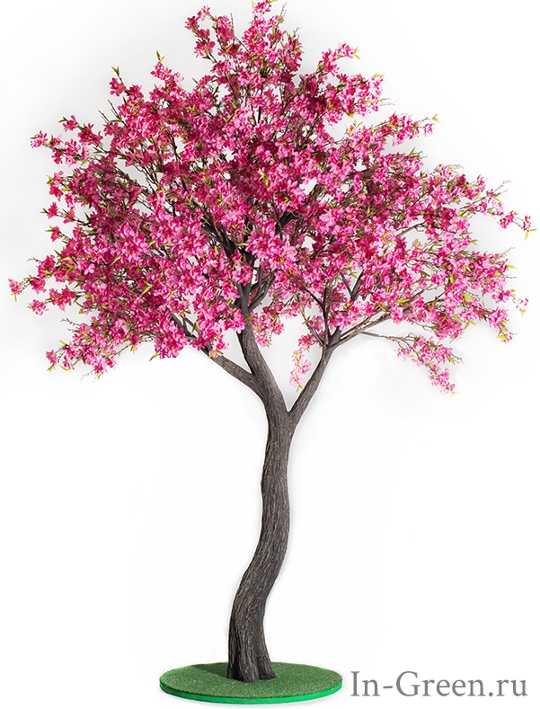 Жасмин дерево лиловое | 290 см