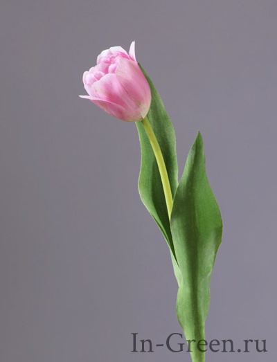 Тюльпан  Даймонд нежно-розовый | 44 см