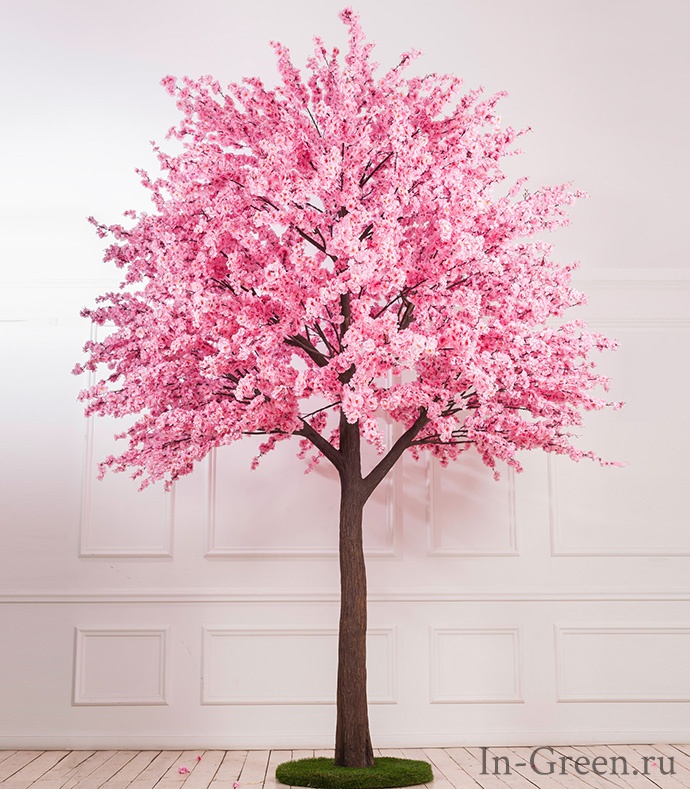 Сакура цветущая розовая | 400 см