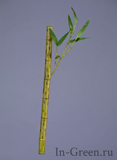 Стебель Бамбука длинный светло-зелёный с веточкой | 39 см