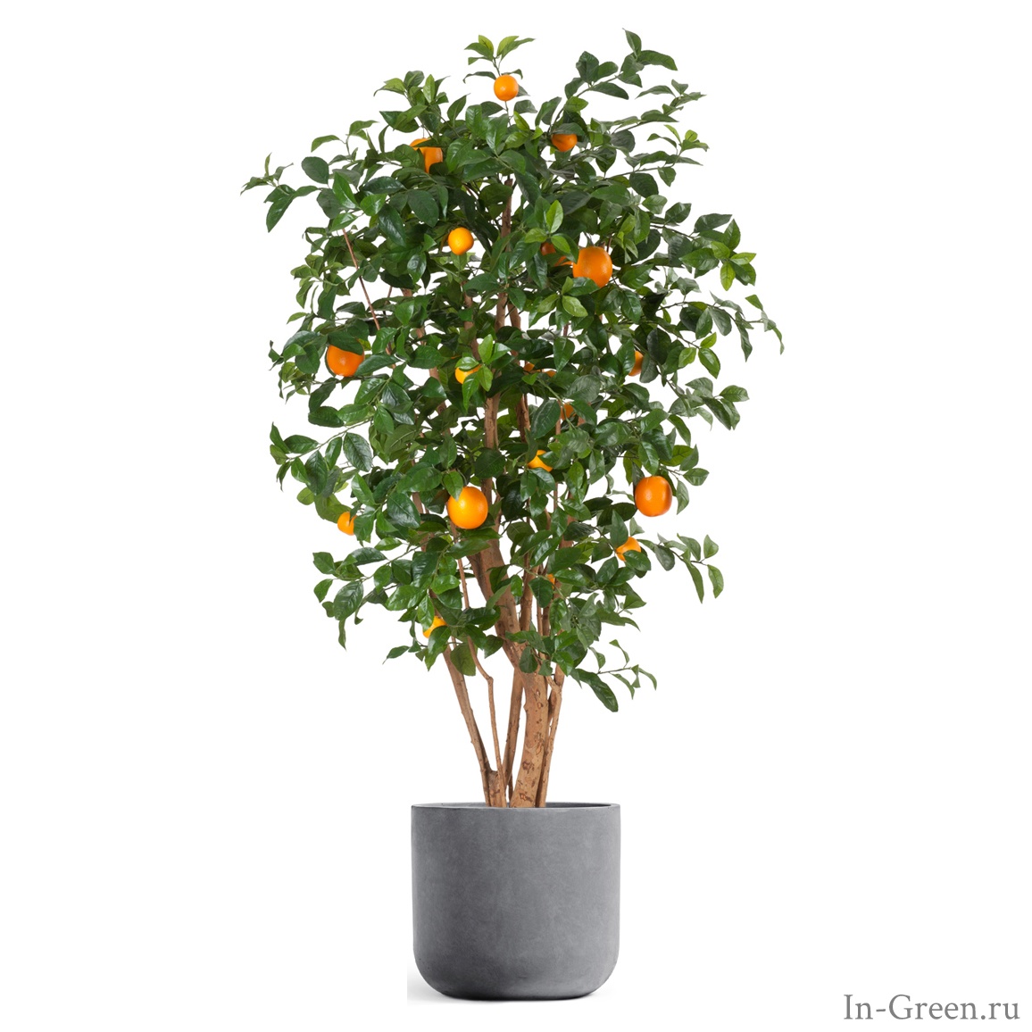 Апельсиновое дерево искусственное с плодами в кашпо светло-серый камень | 180 см
