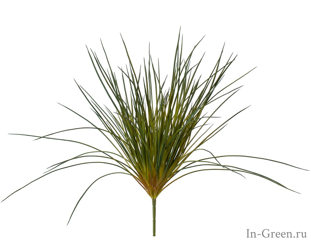 Трава Оньон Голд куст | 38 см