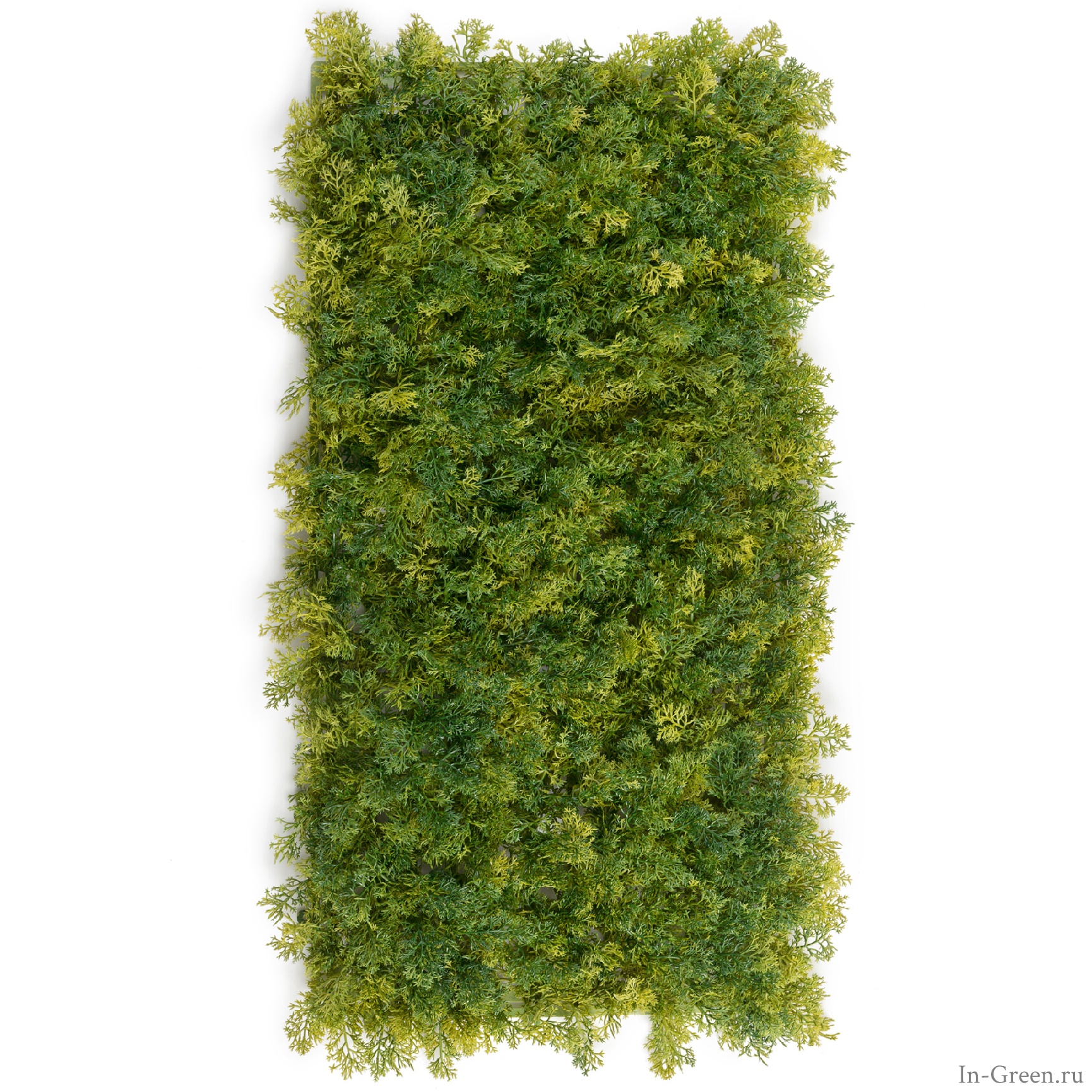 Мох Ягель зелёный микс (коврик) | 25х50 см