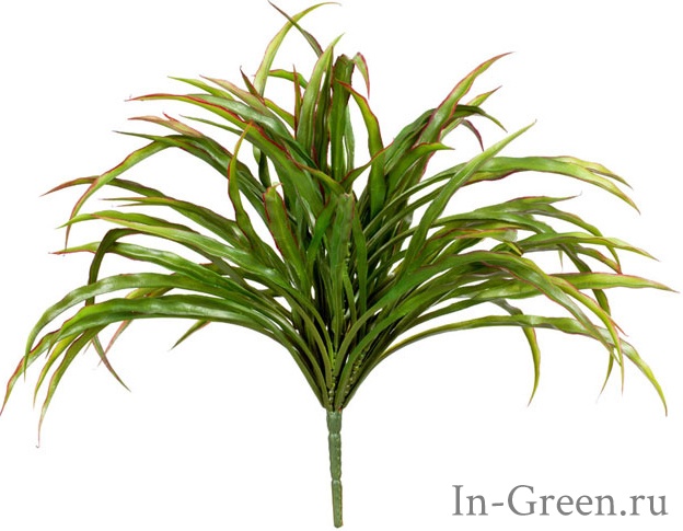 Трава  Ванилла Грасс зелёная с бордо | 20 см