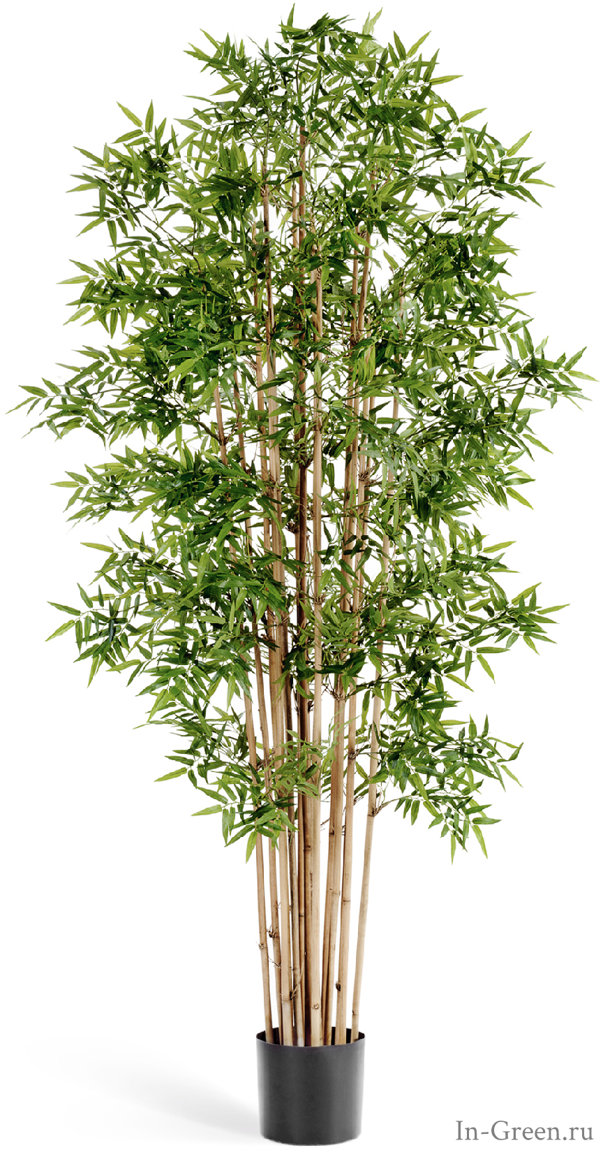Бамбук искусственный Японский, от 110 до 230 см