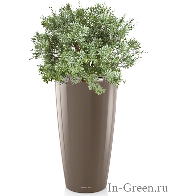 Кроссостефиум искусственный уличный Миллер Шар в бежевом кашпо Lechuza (7 цветов) | 100 см