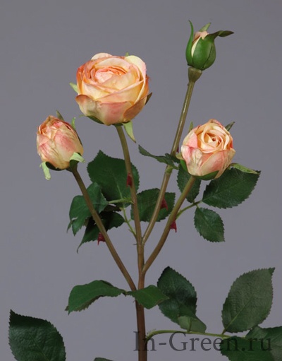 Роза Рояль ветвь персиково-золотистая | 47 см