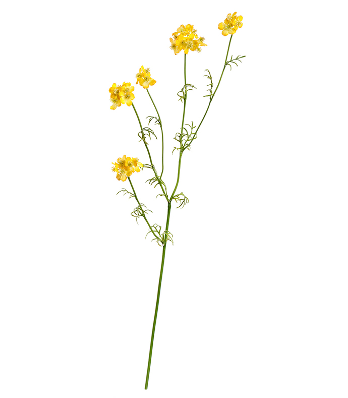 Ранункулюс полевой жёлтый | 71 см