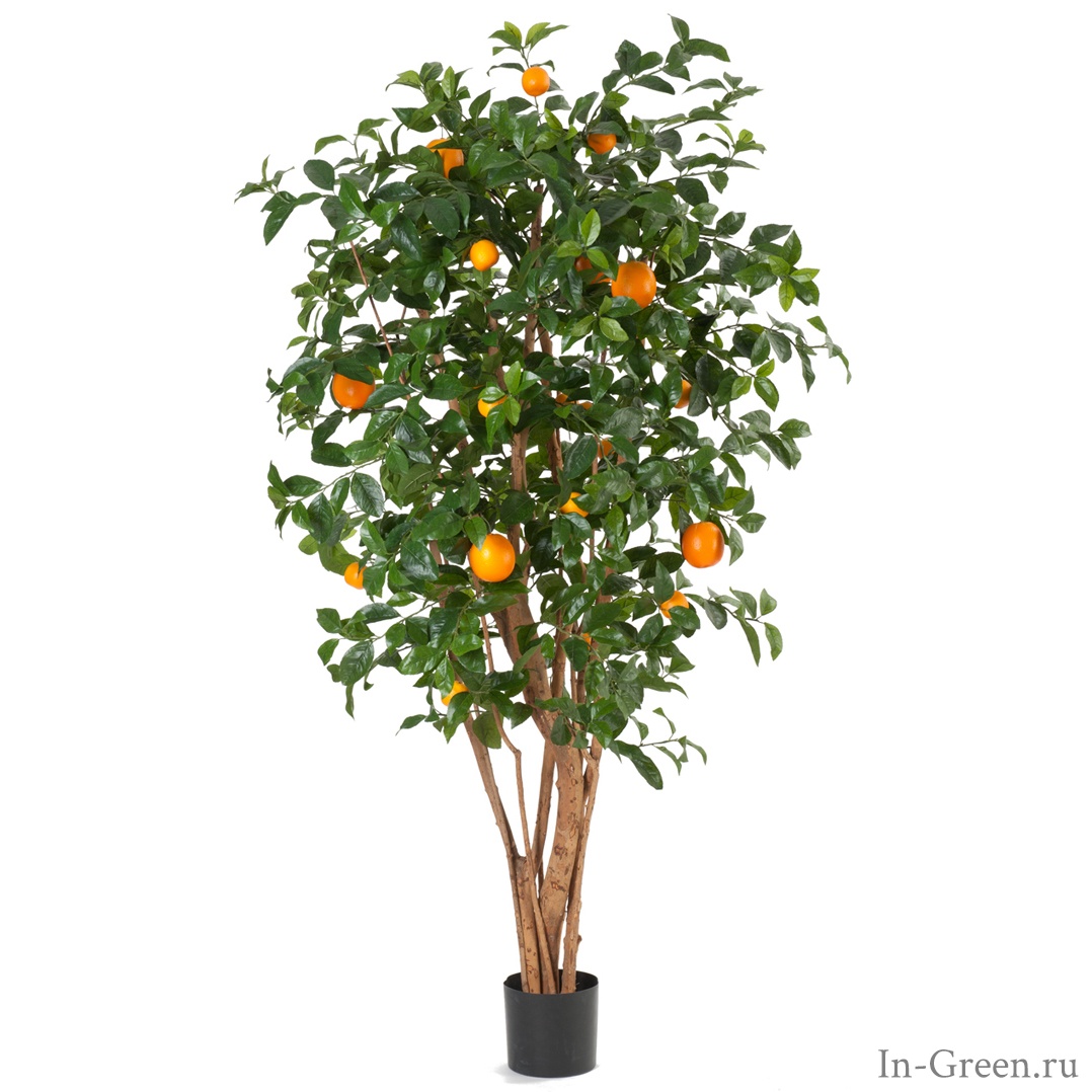 Апельсиновое дерево искусственное с плодами | 180 см