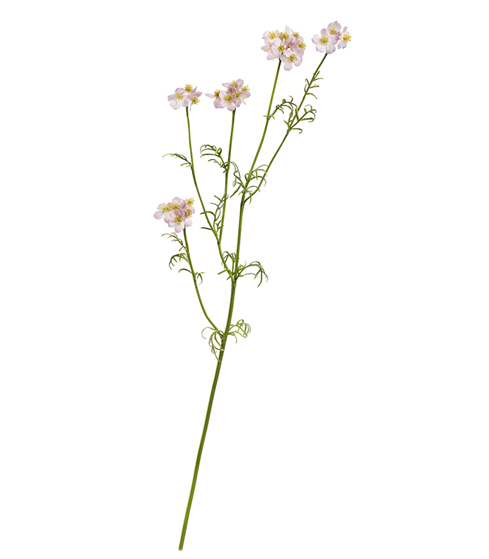 Ранункулюс полевой розово-сиреневый | 71 см