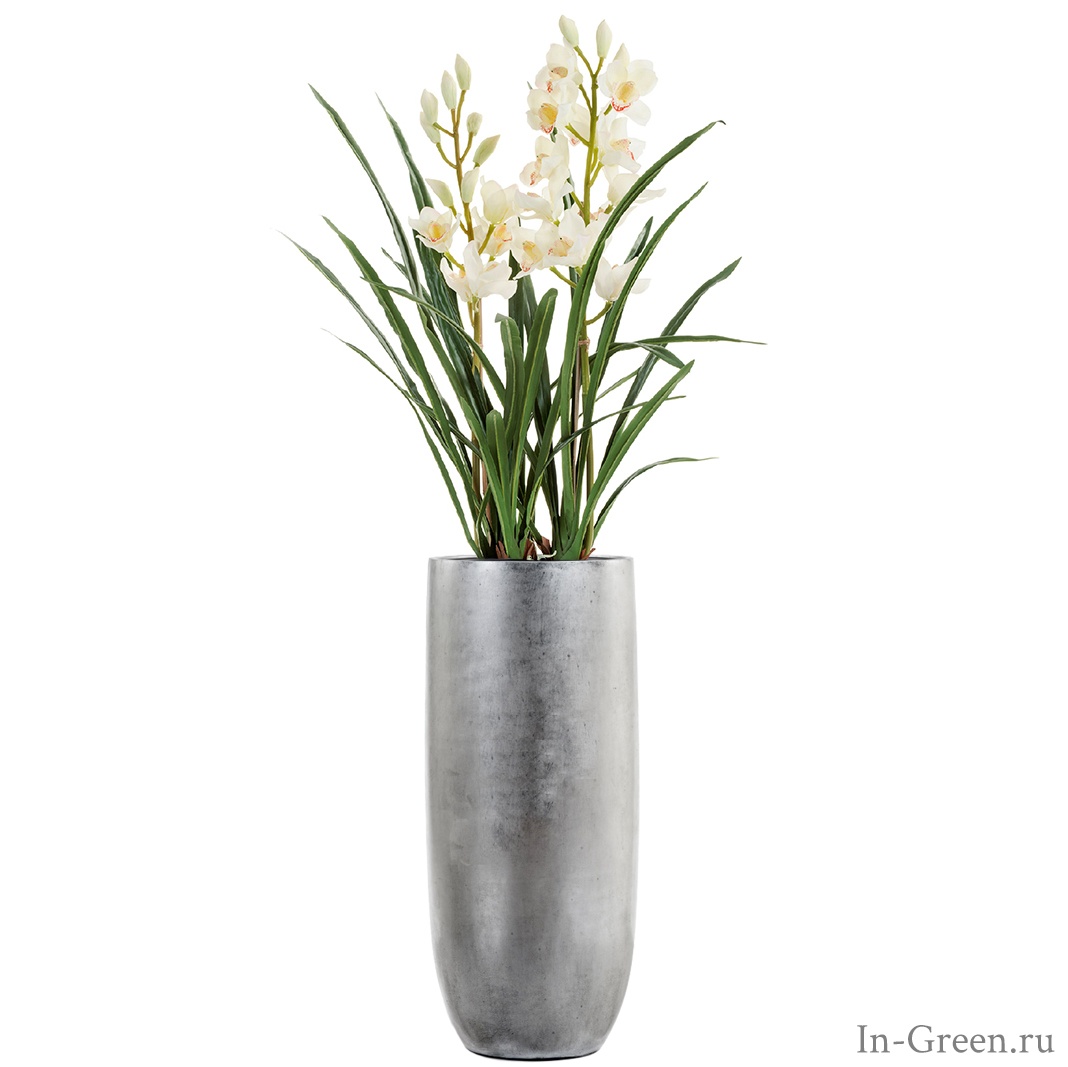 Орхидея Цимбидиум белая 2 ветки в высоком кашпо серебро | 152 см