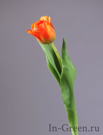 Тюльпан  Даймонд оранжевый | 44 см