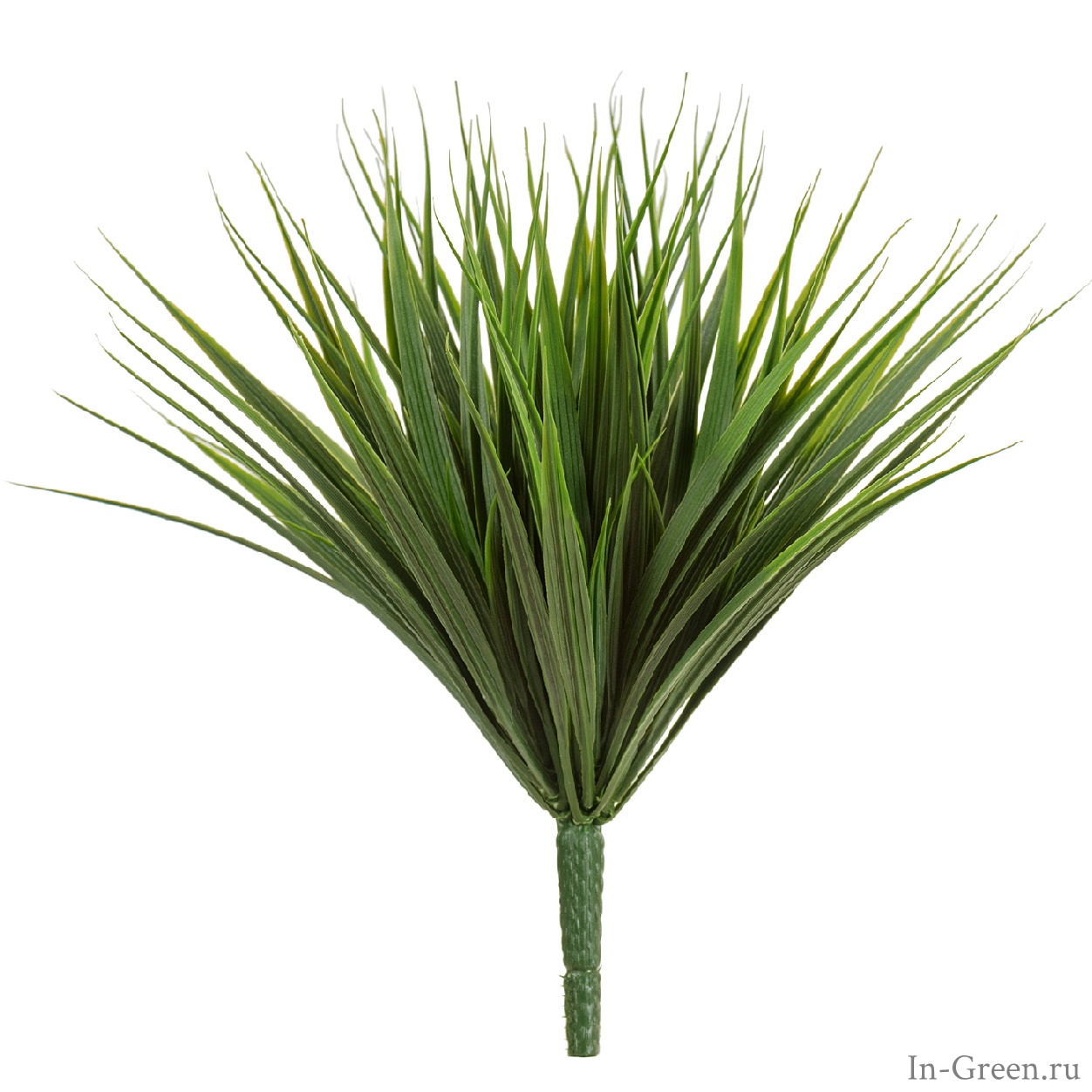 Трава Литл Сворд куст зелёный микс | 20 см