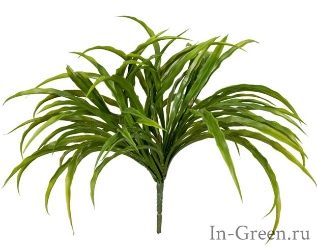 Трава Ванилла Грасс зелёная | 20 см