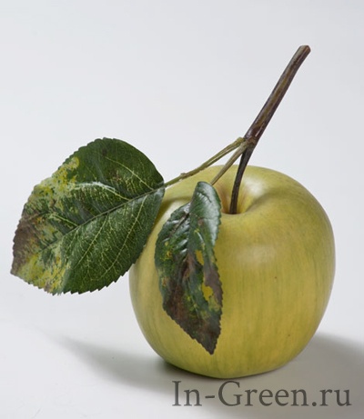 Яблоко нежно-зелёное на веточке | 7 см