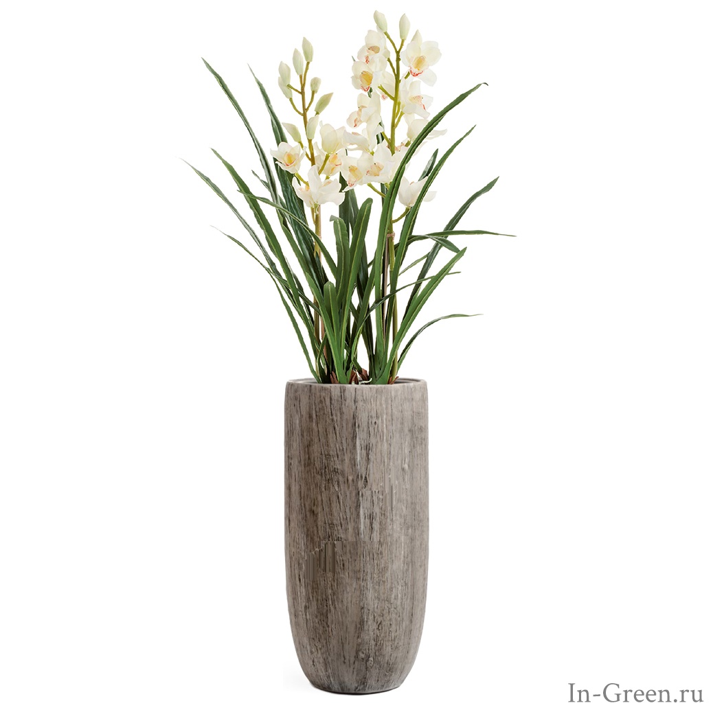 Орхидея Цимбидиум белая 2 ветки в высоком кашпо беленый дуб | 145 см