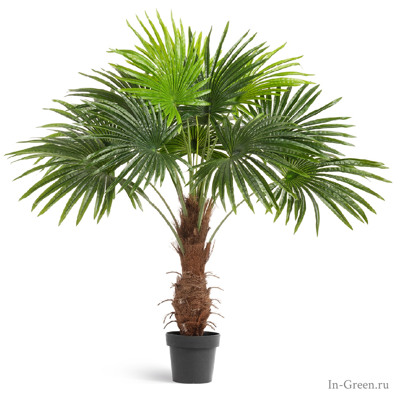 Пальма Вашингтония (sensitive botanic) искусственная | 120 см