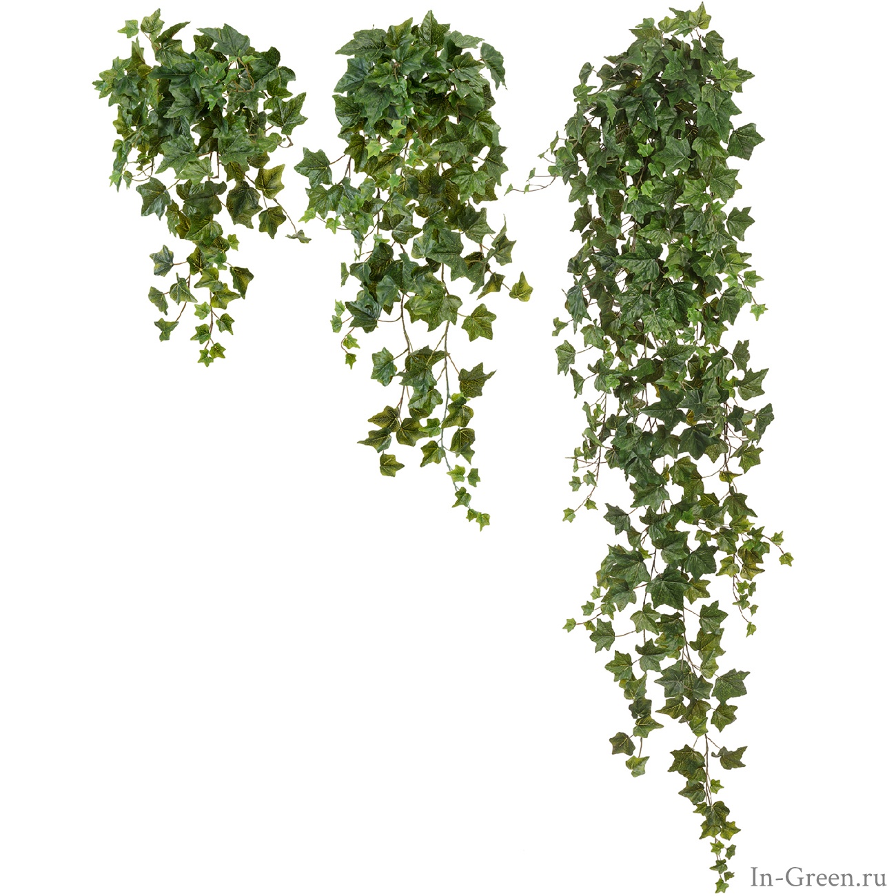 Плющ Английский искусственный (sensitive botanic) крупнолистный, от 60 до 170 см