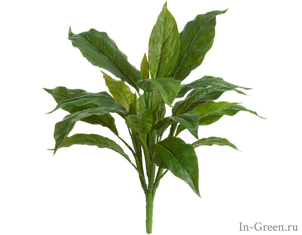 Спацифилум Мидл зелёный куст искусственный (sensitive botanic) | 35 см