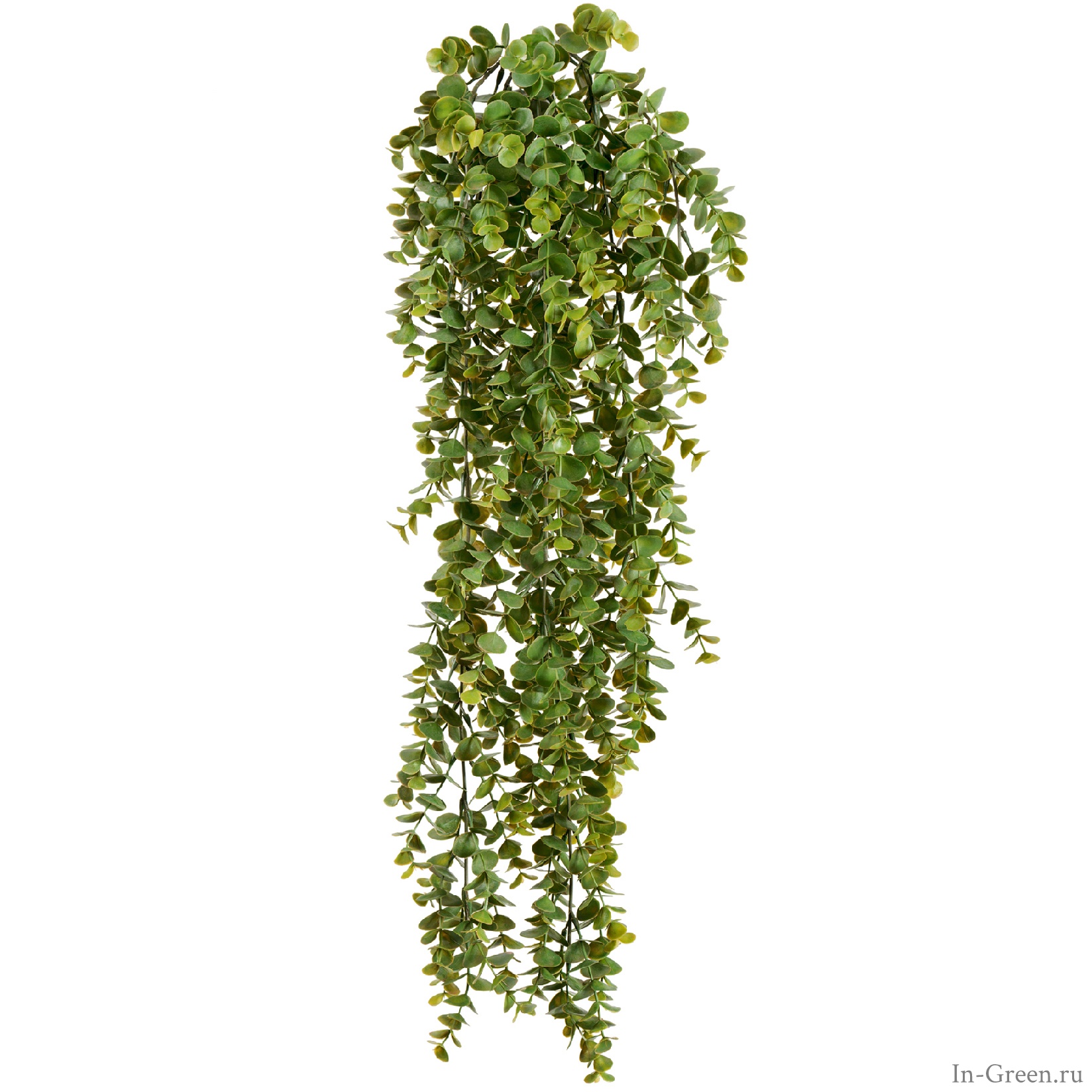 Эвкалипт зелёный большой куст искусственный ампельный | 65 см